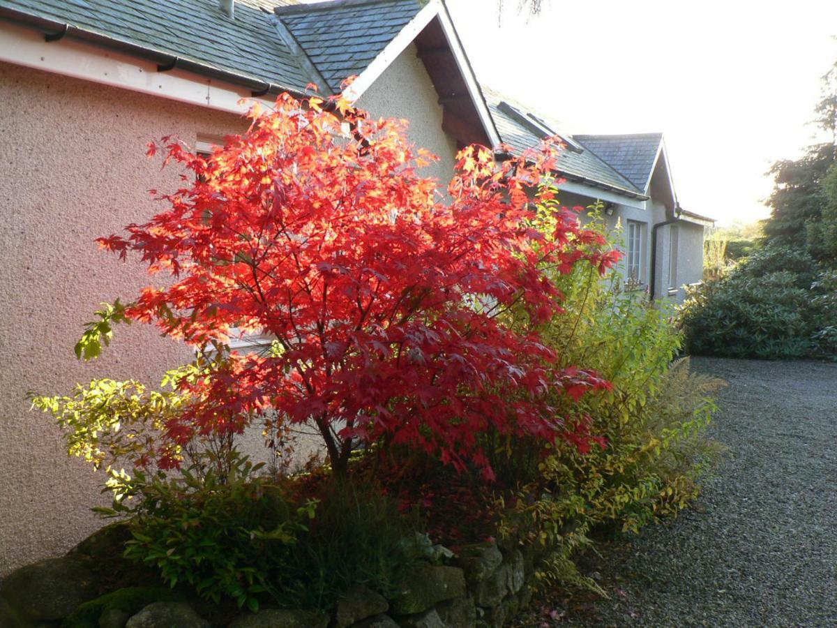 Bridge Of Bennie Cottage Banchory Exterior foto